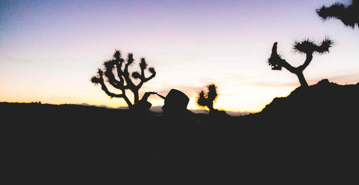 Sunset in the desert with silhouette of joshua trees and woman wearing a felt hat