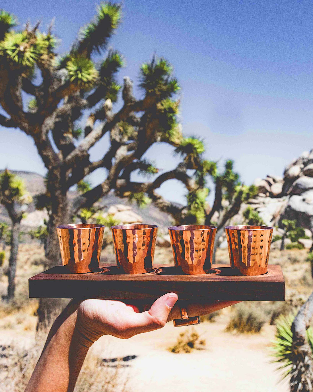 Hammered copper shot glasses on wooden board with Joshua tree in background