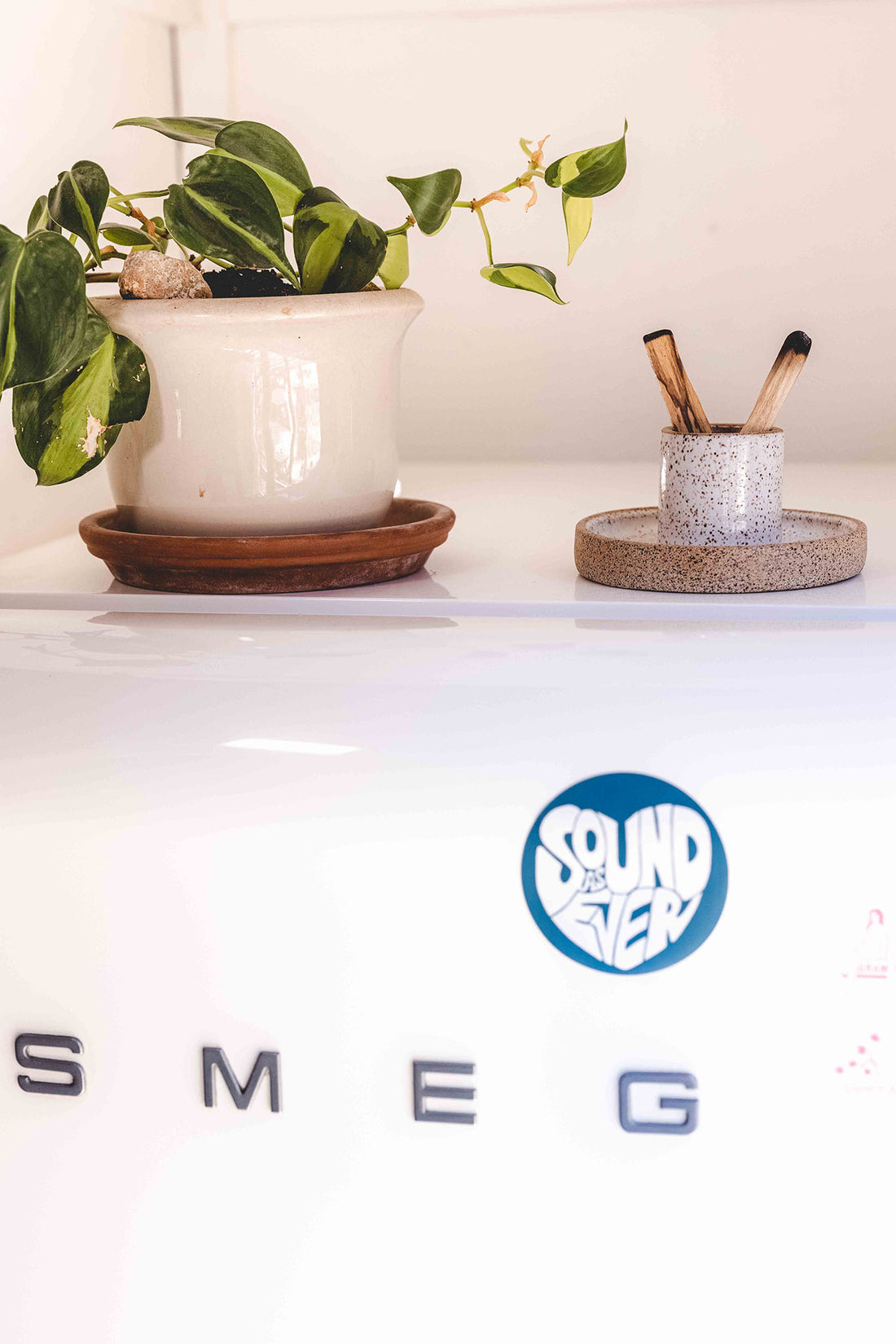 Palo santo holder and sage burning bowl made from white speckled clay with two burnt palo santo sticks next to a potted plant on top of a SMEG refrigerator